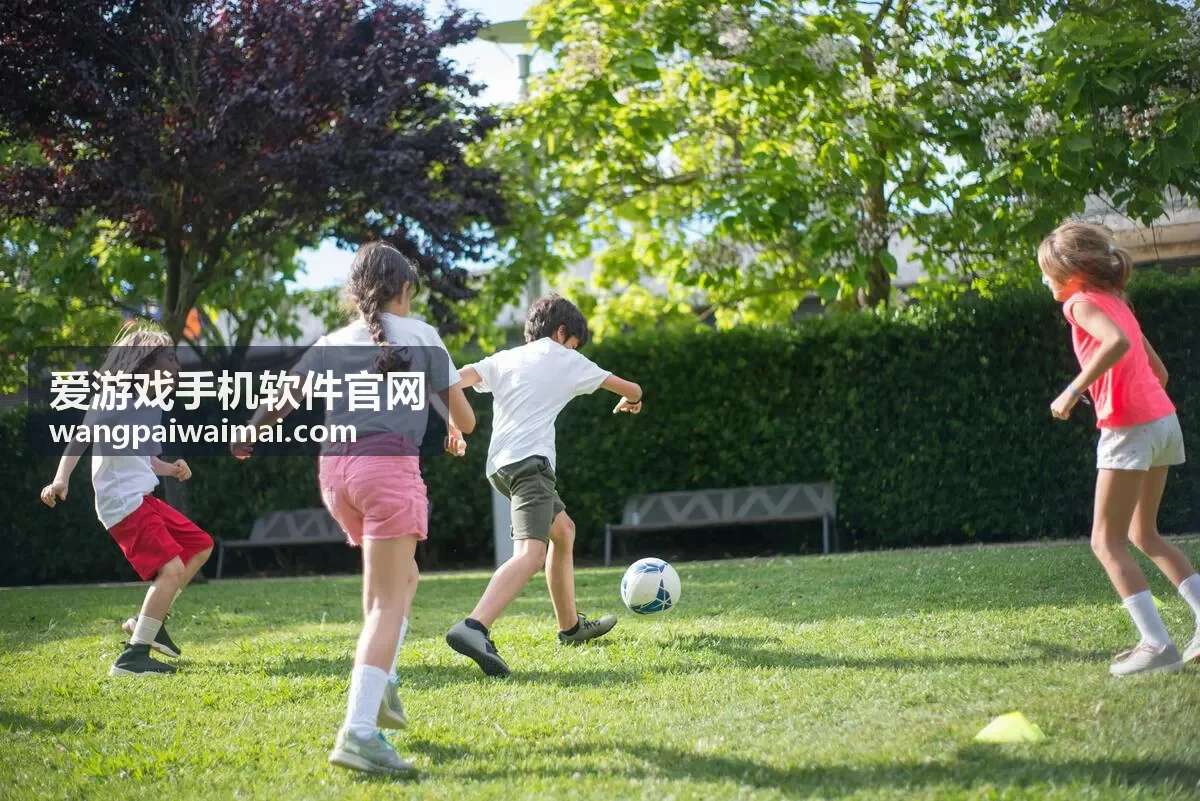 爱游戏手机软件官网手游类型图谱封面