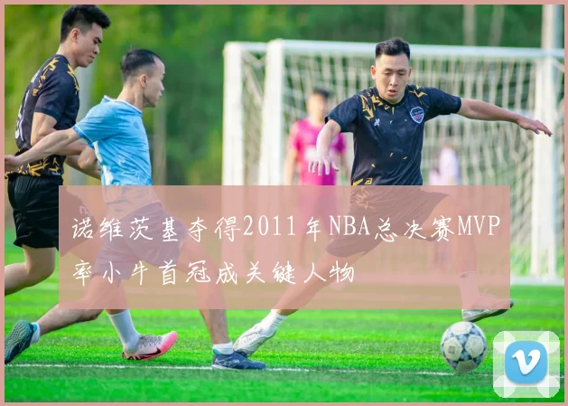 诺维茨基夺得2011年NBA总决赛MVP率小牛首冠成关键人物