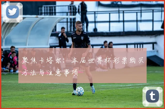 聚焦卡塔尔：本届世界杯彩票购买方法与注意事项